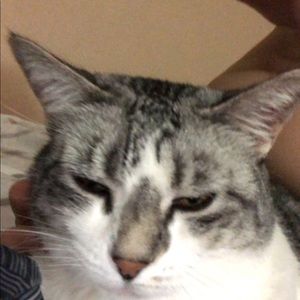 Meet your Posher, Darrin